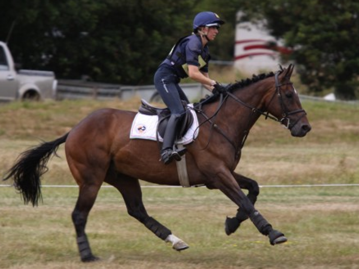 Equitazione italiana alle Olimpiadi il Giornale